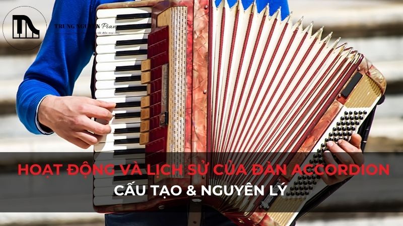Hoạt động và lịch sử của đàn accordion: Cấu tạo & Nguyên lý