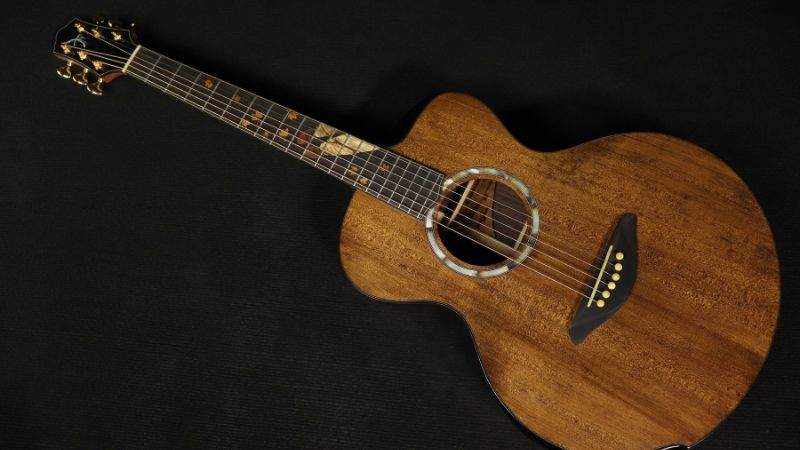 Nên Mua Đàn Guitar Gỗ Thịt Hay Gỗ Ép: So Sánh Âm Thanh & Độ Bền 5 ựa chọn đàn đơn giản, dễ chơi quan trọng hơn chất liệu gỗ ở giai đoạn đầu học guitar