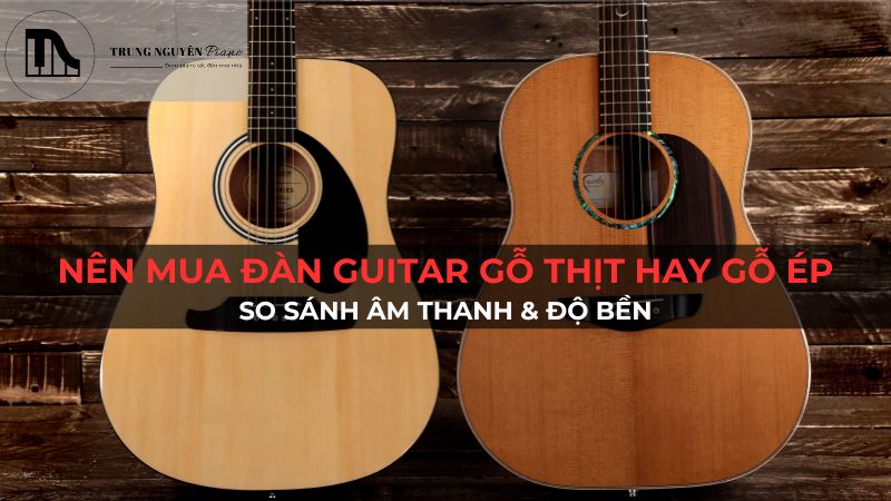 Nên Mua Đàn Guitar Gỗ Thịt Hay Gỗ Ép: So Sánh Âm Thanh & Độ Bền