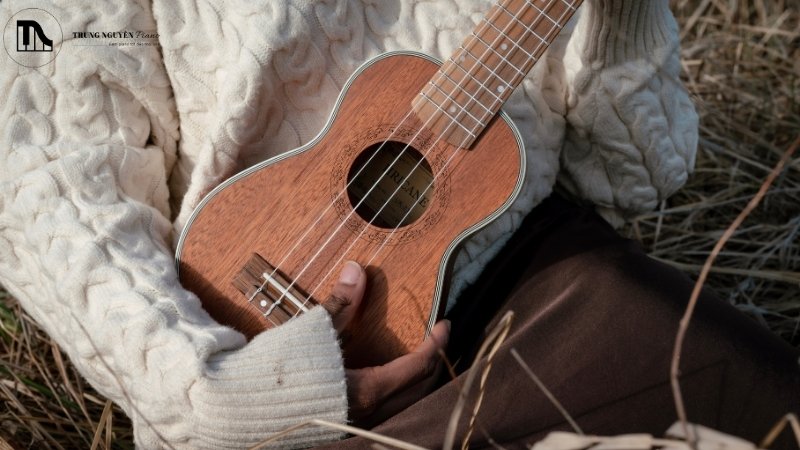 10+ Bài ukulele đơn giản cho người mới kèm hợp âm chi tiết 5 Hành trình chinh phục ukulele