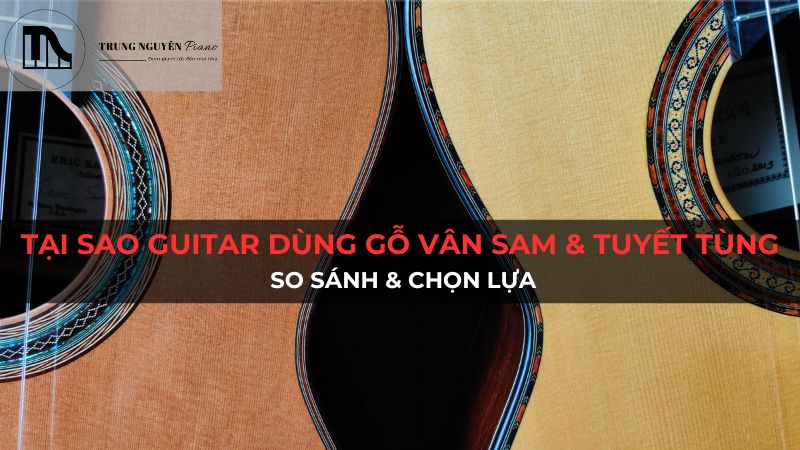 Tại Sao Guitar Dùng Gỗ Vân Sam Và Tuyết Tùng: So Sánh & Chọn Lựa