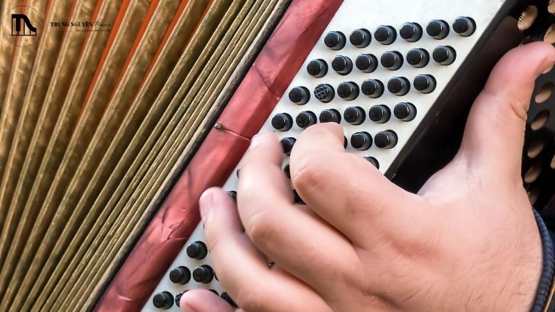 Lời khuyên khi học accordion