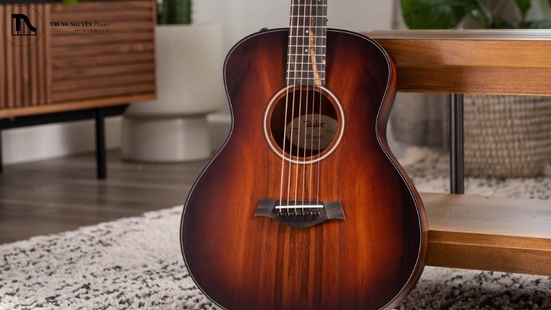 Các dòng đàn guitar Taylor nổi tiếng nhất: Review và chọn mua 6 Taylor GS Mini-e Koa