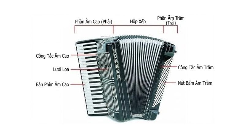 Sơ đồ cấu tạo chính của đàn Accordion: bầu hơi, bàn phím phải và nút bấm trái