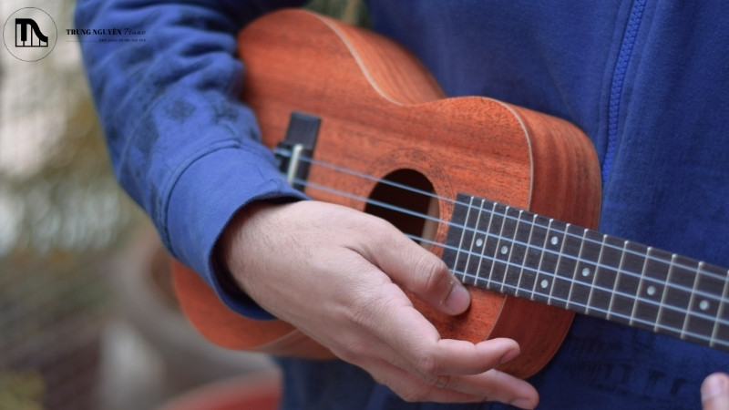 Hướng dẫn chọn Ukulele cho người mới: Các loại và 5 tiêu chí 8 Lưu ý khi mua Ukulele