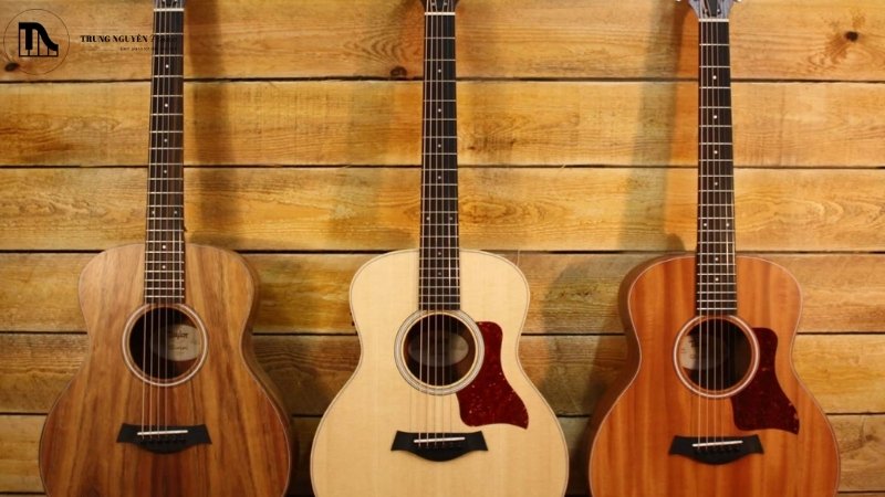 Các dòng đàn guitar Taylor nổi tiếng nhất: Review và chọn mua 2 Phân loại Guitar Taylor
