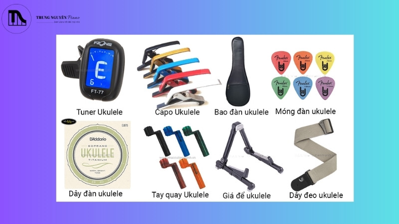 Hướng dẫn chọn Ukulele cho người mới: Các loại và 5 tiêu chí 7 Phụ kiện đàn Ukulele