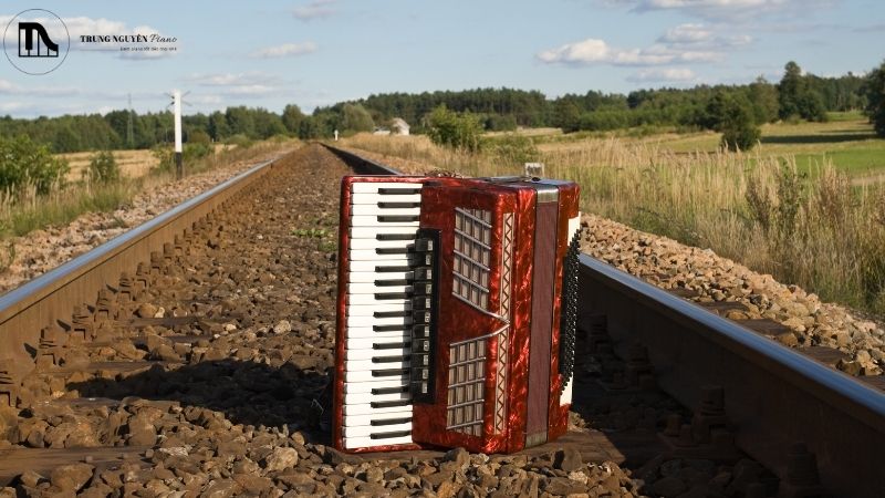 Top mẫu đàn Accordion phổ biến, đáng mua nhất mọi trình độ 2 Piano accordion