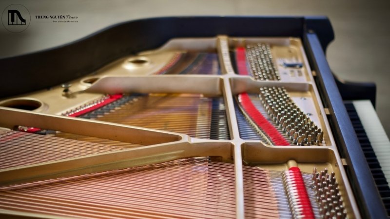 Tác động tổng thể đến âm sắc và độ ngân