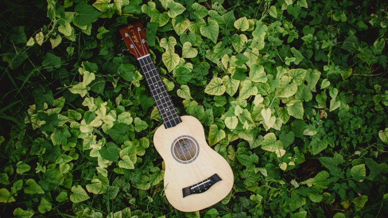 Cây ukulele tượng trưng cho sự linh hoạt và chính xác trong từng giai điệu
