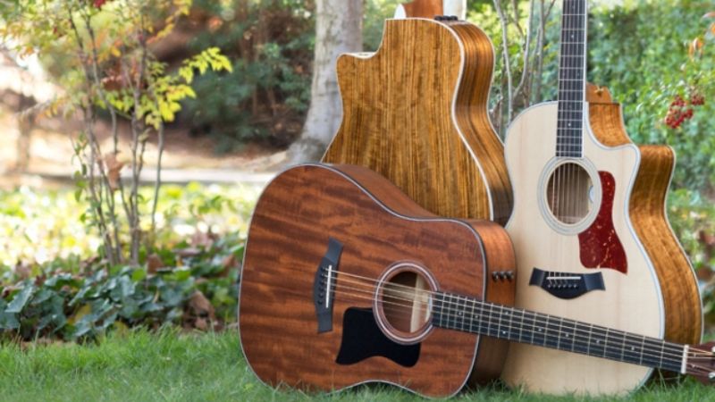 Taylor GS Mini Cơ Bản: So Sánh Model Koa, Mahogany & Walnut 2 Đàn guitar Taylor GS Mini là lựa chọn lý tưởng cho trẻ em và người dáng nhỏ