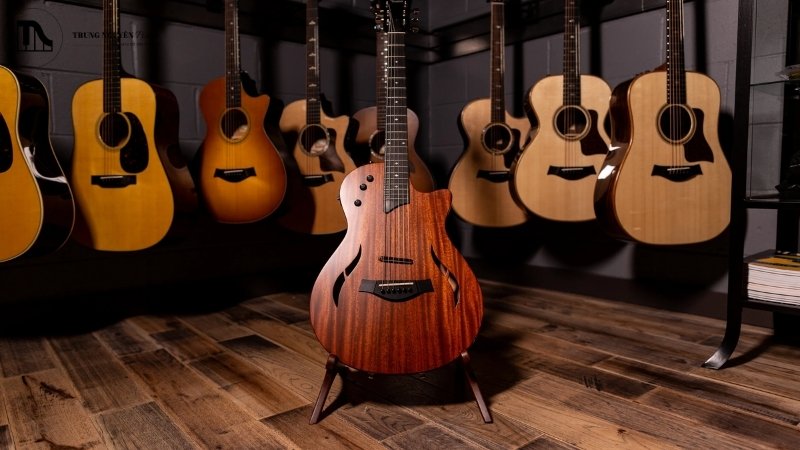 Các dòng đàn guitar Taylor nổi tiếng nhất: Review và chọn mua 4 Taylor T5/T5z