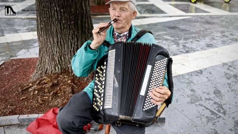 Top mẫu đàn Accordion phổ biến, đáng mua nhất mọi trình độ 3 Hướng dẫn chọn đàn accordion