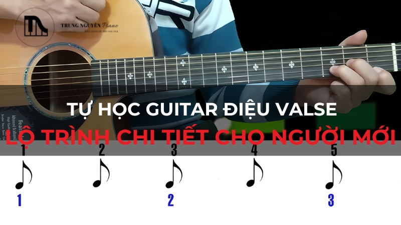 Tự học guitar điệu Valse: Lộ trình chi tiết cho người mới