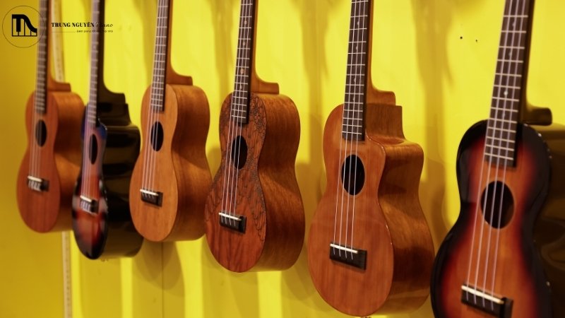 Hướng dẫn chọn Ukulele cho người mới: Các loại và 5 tiêu chí 2 Ukulele concert