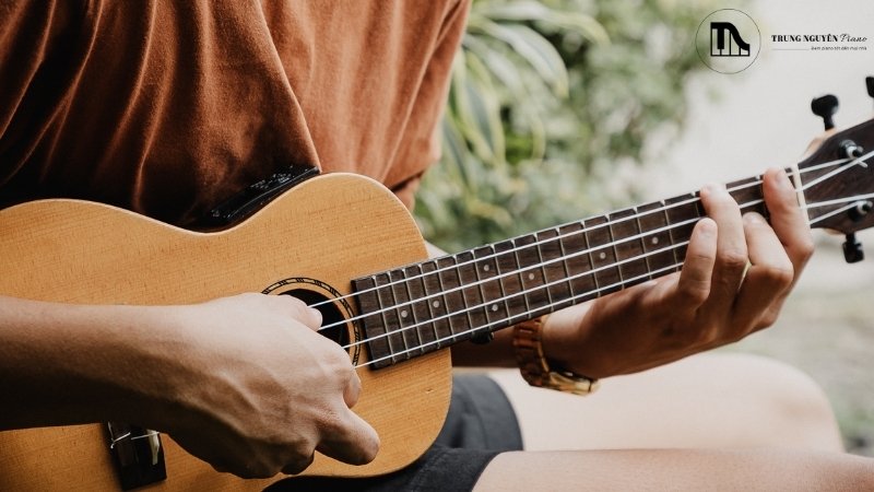 Hướng dẫn chọn Ukulele cho người mới: Các loại và 5 tiêu chí 1 Tìm hiểu về đàn ukulele