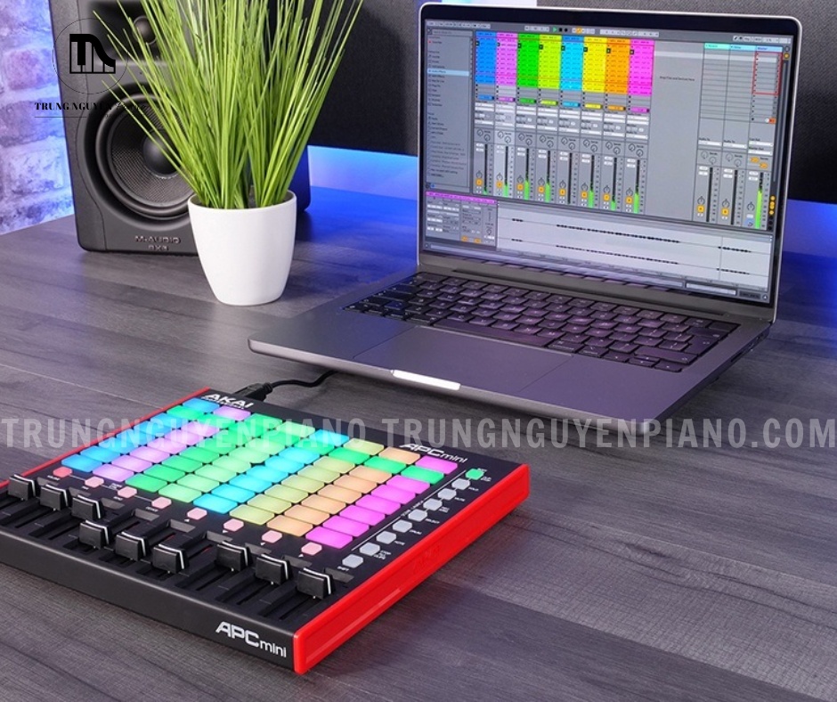 Akai APC Mini MK2 kết nối cùng Ableton Live, phù hợp cho setup phòng thu gọn nhẹ