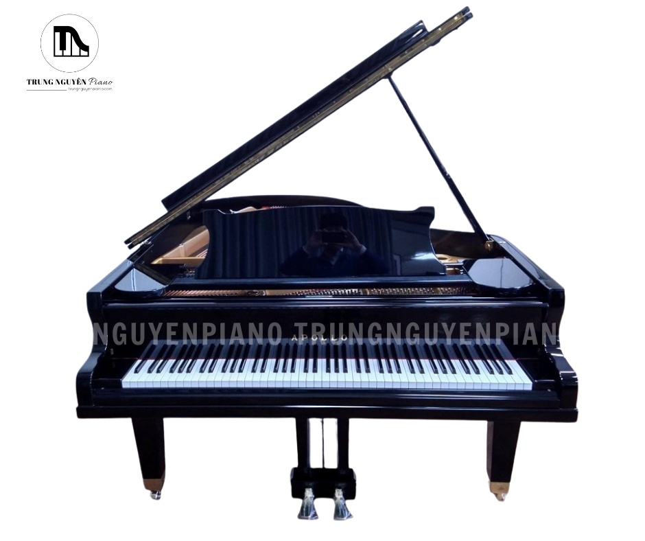 Đàn Piano Grand Apollo A30 nổi bật với thiết kế sang trọng, kích thước 1m88 phù hợp không gian phòng khách