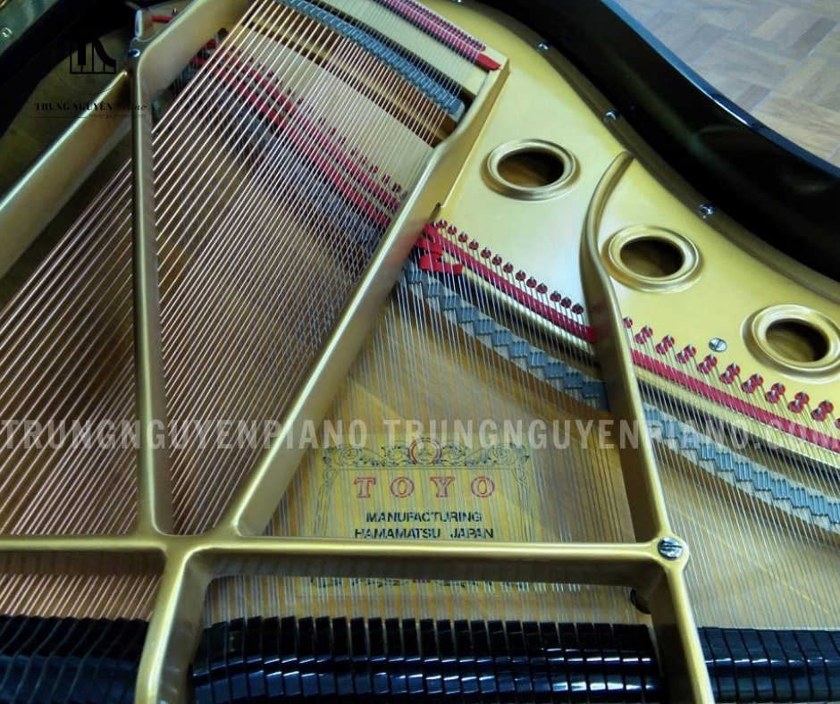 Apollo A30 mang đến chất âm sáng, rõ ràng nhưng vẫn cân bằng