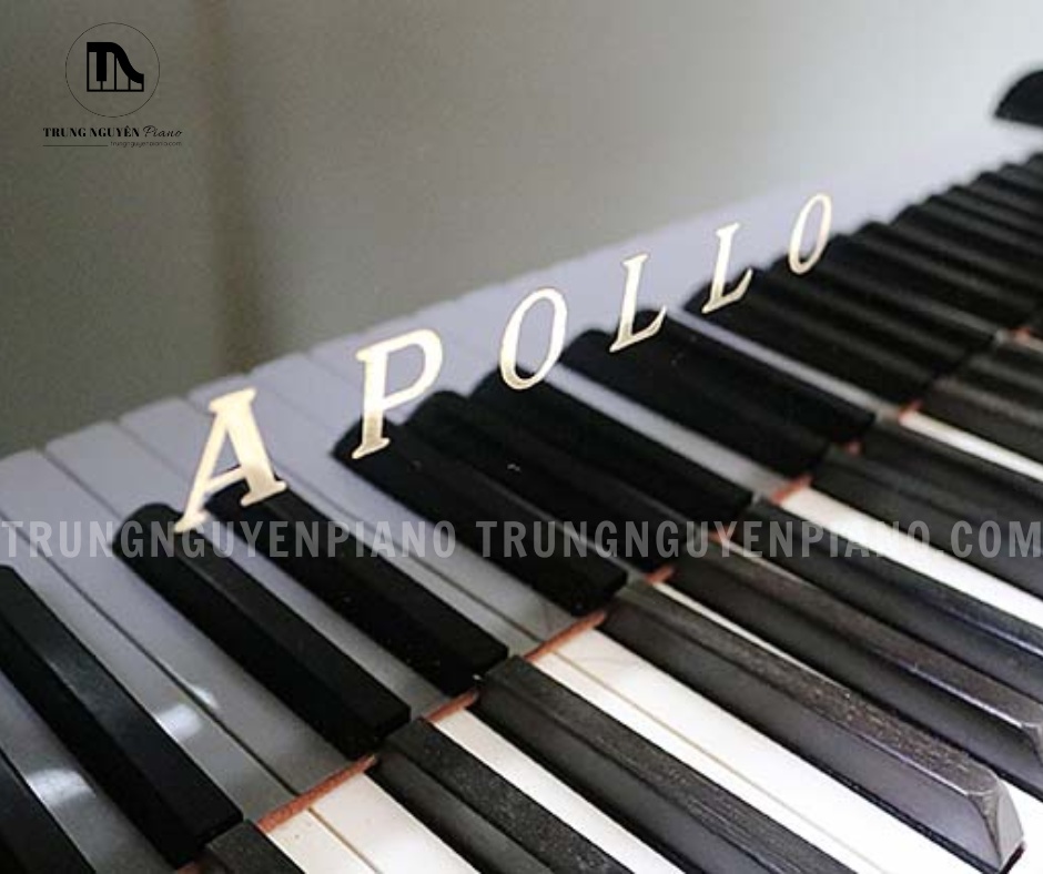 Đàn piano grand Apollo RG30 là mẫu Baby Grand nổi bật với thiết kế tinh tế