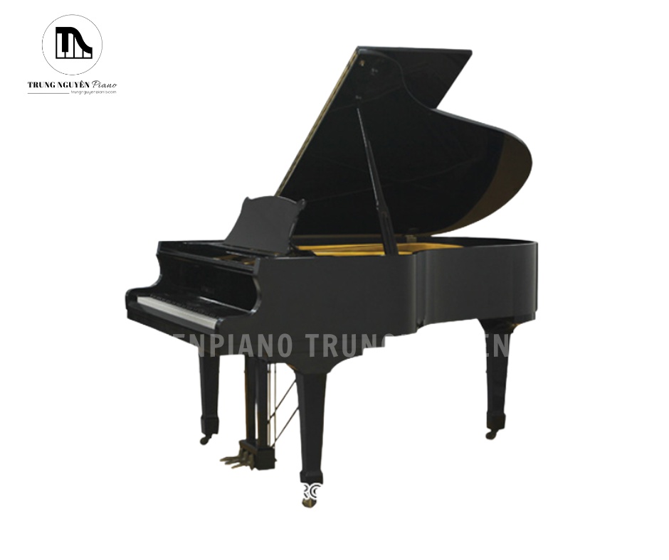 Apollo RG30 là mẫu đàn piano baby grand được chế tác tại Nhật Bản với thiết kế sang trọng và độ hoàn thiện cao