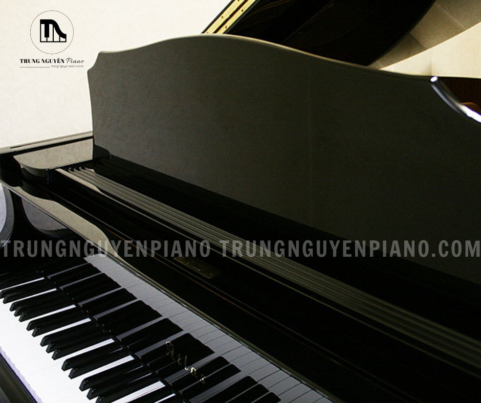 Đàn Piano Grand Atlas AG570 nổi bật với đường cong mềm mại và lớp sơn đen bóng