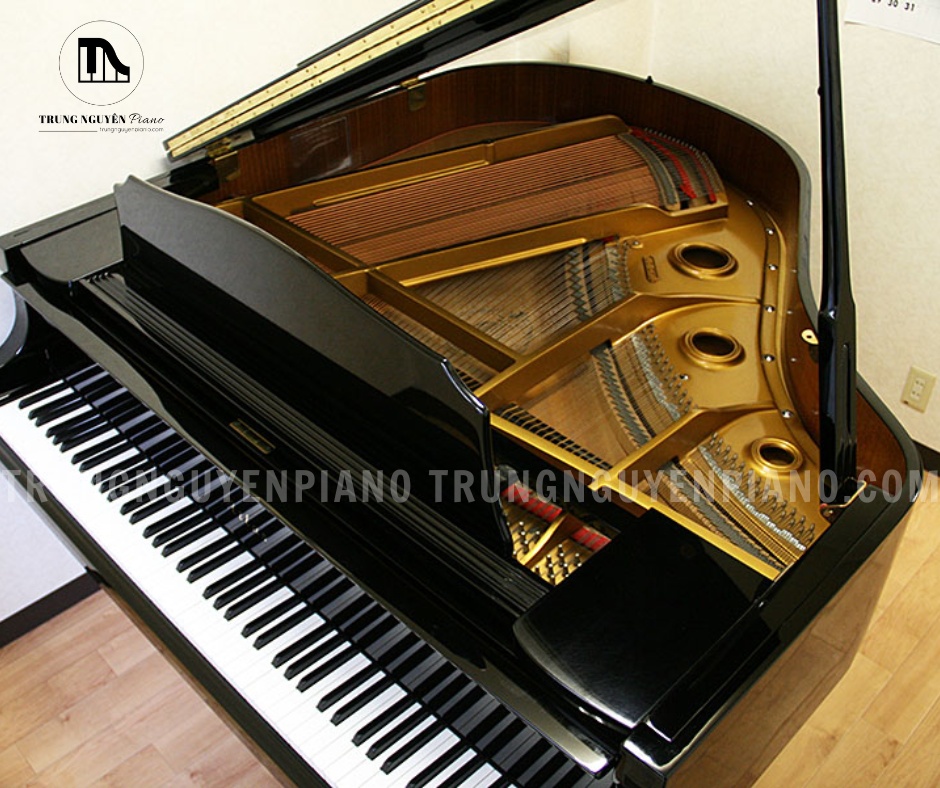 Atlas AG570 là mẫu baby grand piano