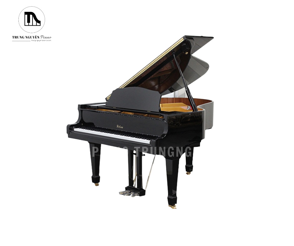 Đàn piano grand Atlas AG8 là mẫu đàn Grand nổi bật với thiết kế sang trọng và âm thanh mạnh mẽ