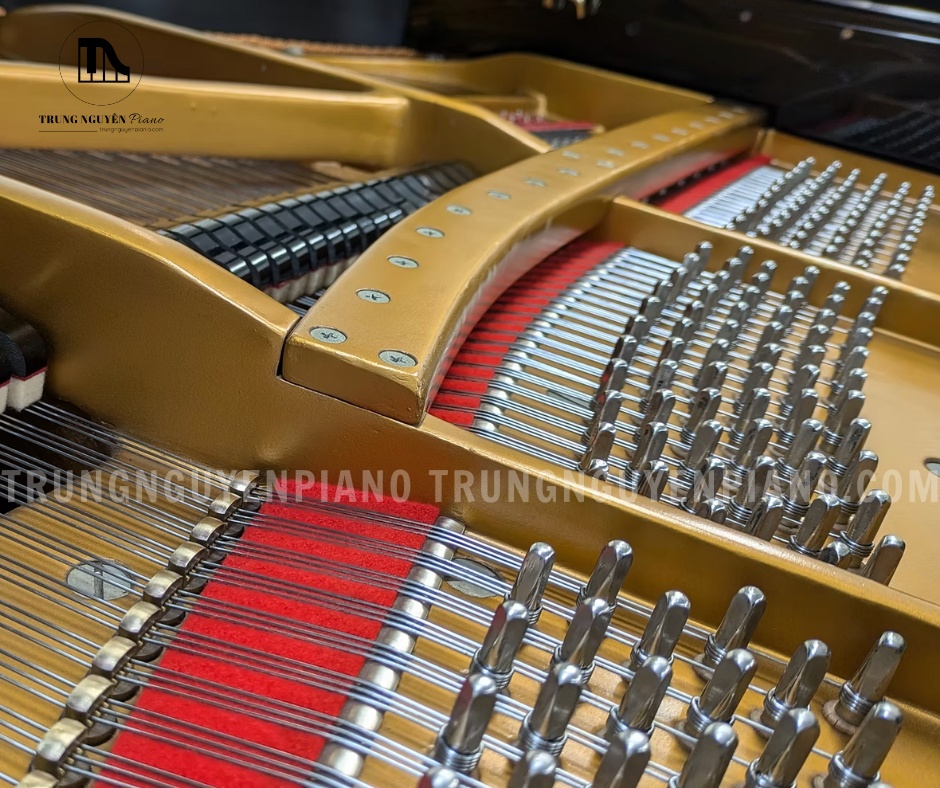 Điểm nổi bật nhất của Atlas AG8 nằm ở màu âm ấm, dày và tròn trịa