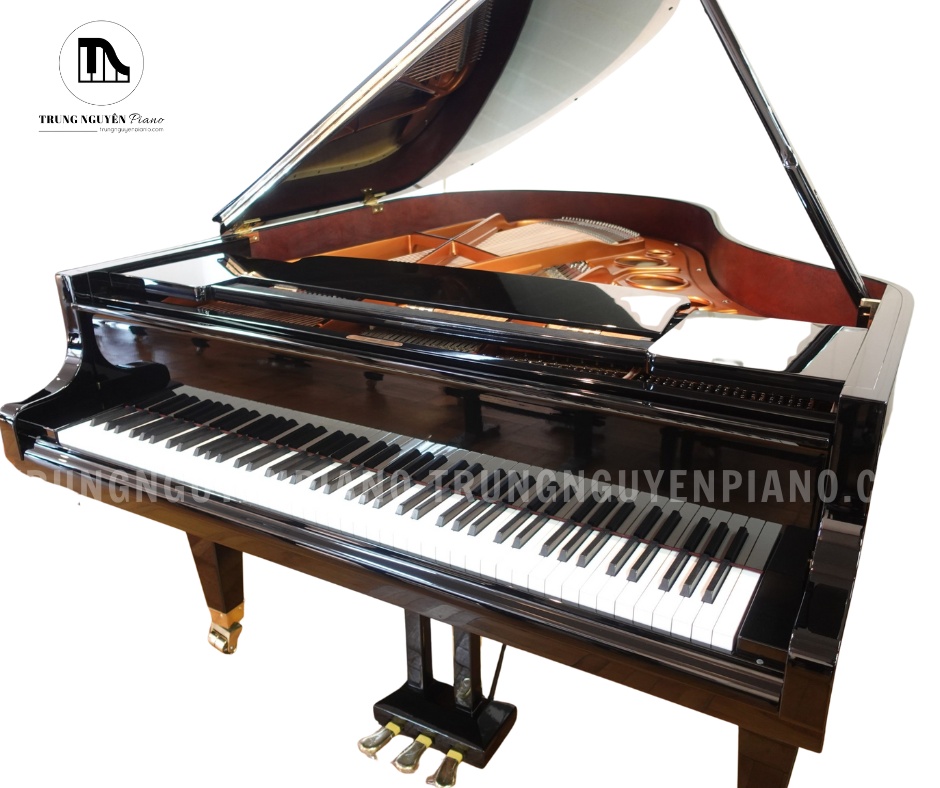 Đàn Piano Grand Diapason 170H được chế tác chủ yếu từ các loại gỗ tự nhiên có chọn lọc