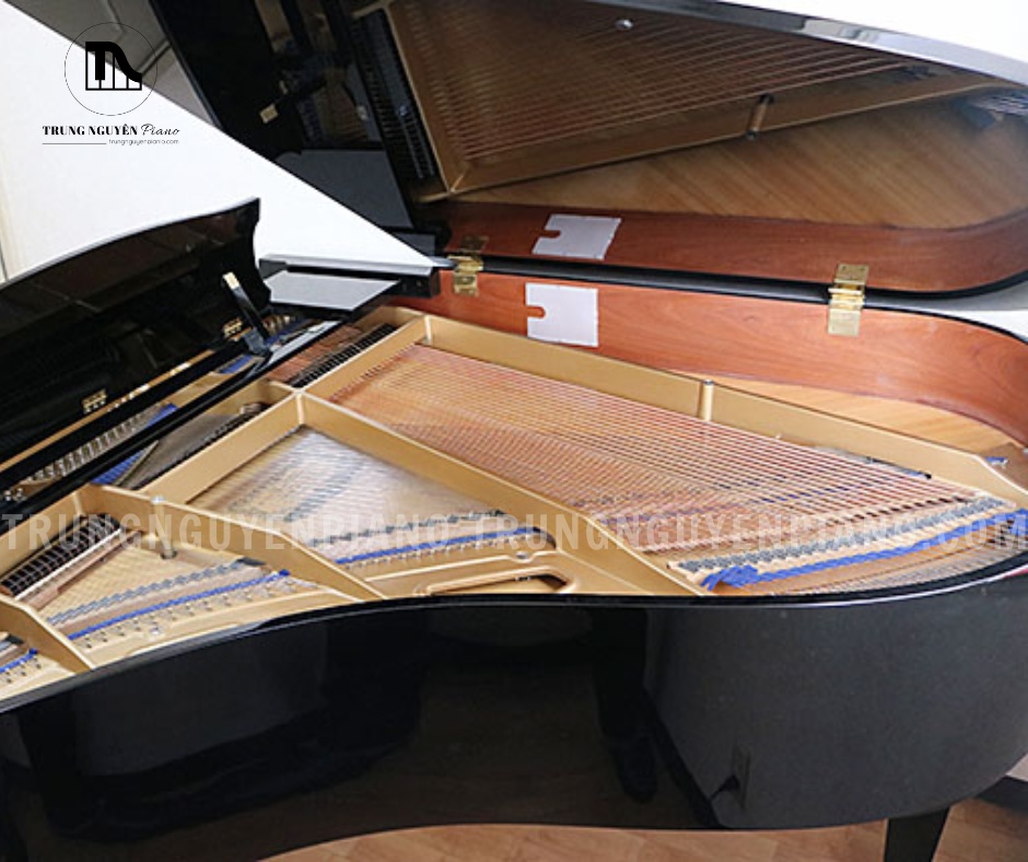 Đàn Piano Grand Kawai KG2E 5 Đàn Piano Grand Kawai KG2E sử dụng bộ máy cơ đặc trưng của Kawai, được xem là nền tảng cho các dòng bộ máy hiện đại sau này