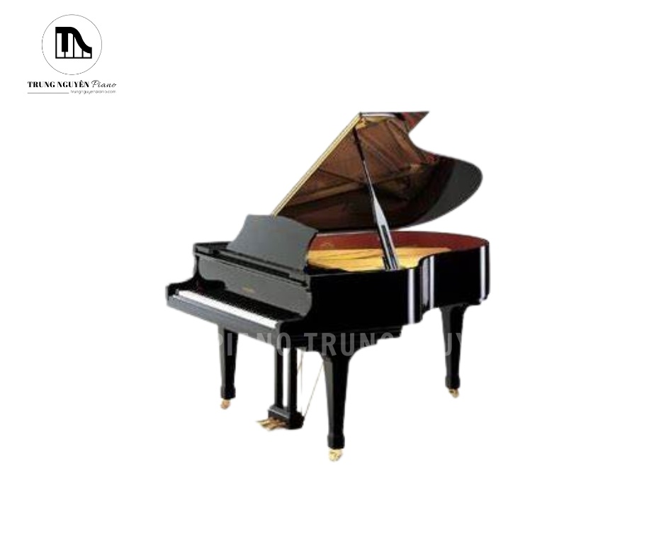 Đàn Piano Grand Kawai KG3D là mẫu grand piano tầm trung