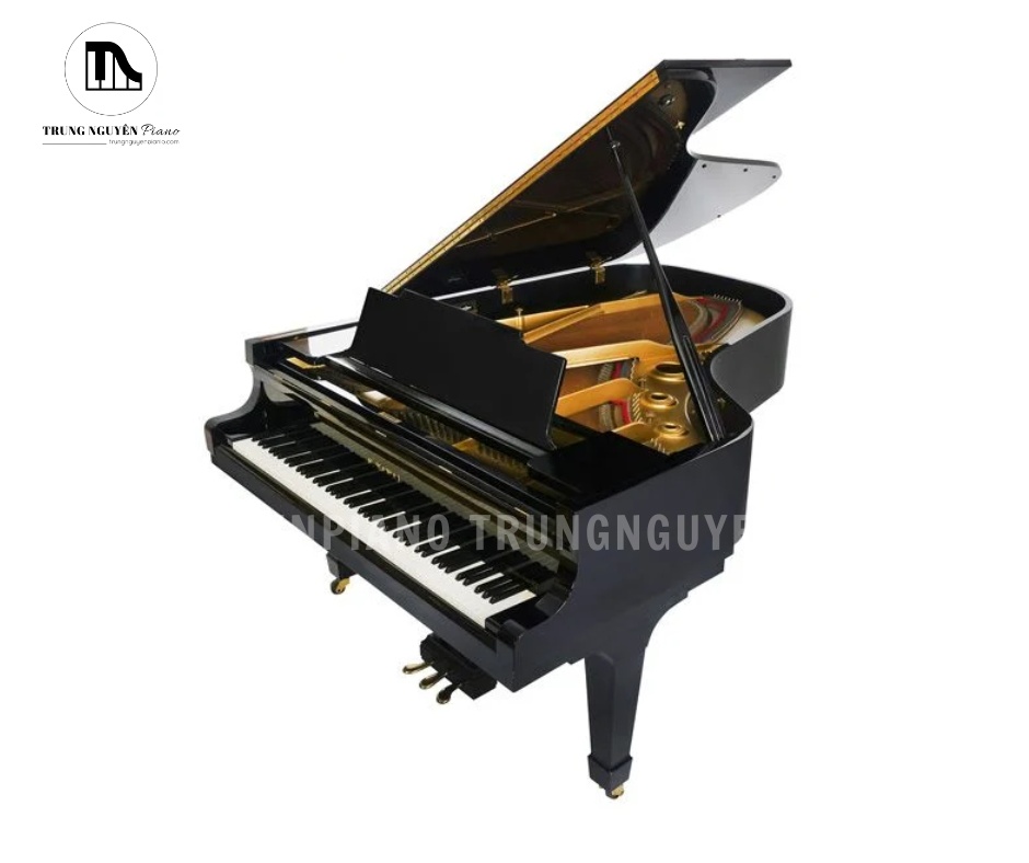 Kawai KG5 là mẫu grand piano nổi bật với thiết kế sang trọng và chất âm ấm áp