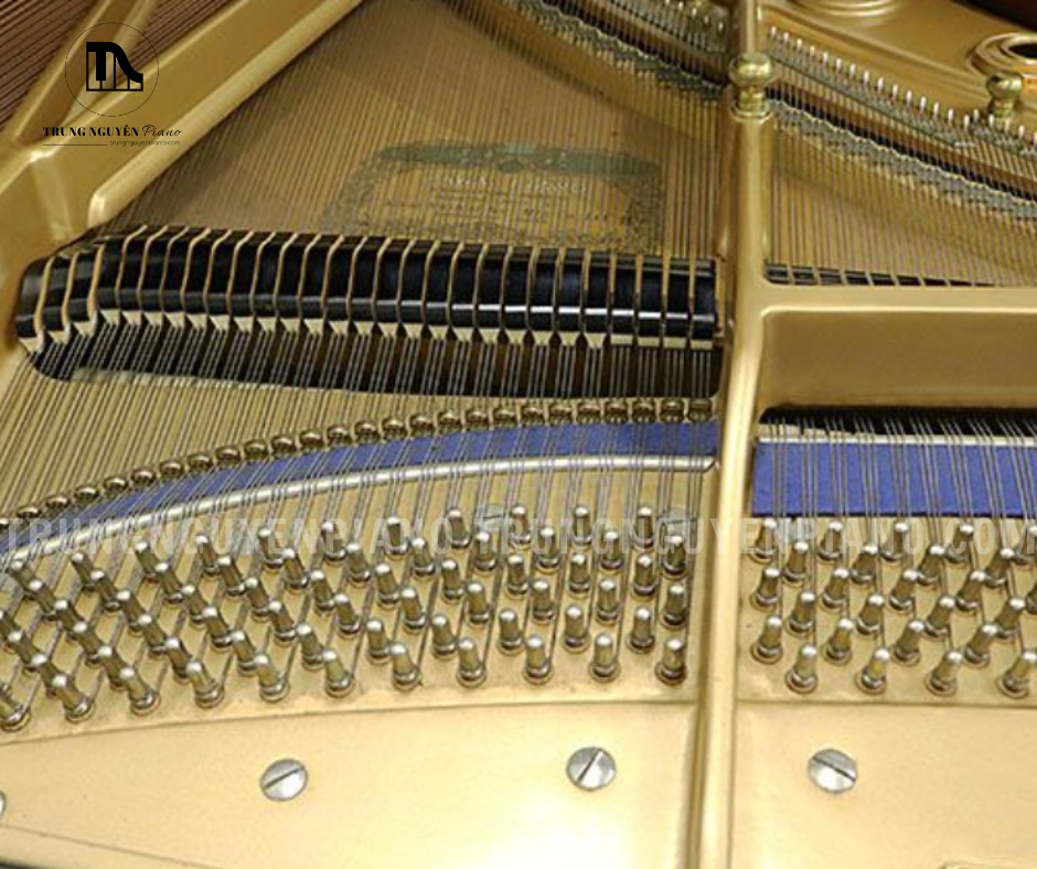Đàn Piano Grand Kawai KG7 mang đến chất âm ấm áp, tròn đầy và giàu chiều sâu