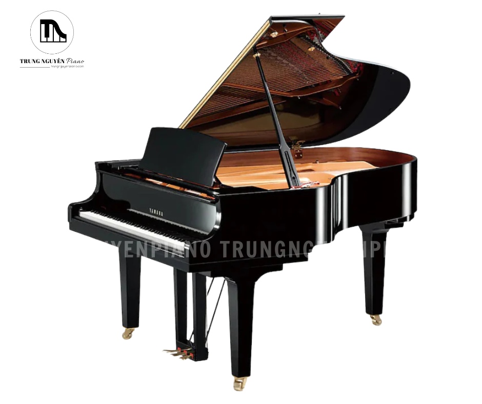Đàn Piano Grand Đàn Piano Grand Yamaha C3 là cây grand piano tầm trung cao cấp