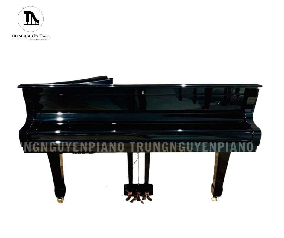 Yamaha C3E sở hữu kích thước lý tưởng để tạo ra một âm vực bass sâu và mạnh mẽ, dứt khoát