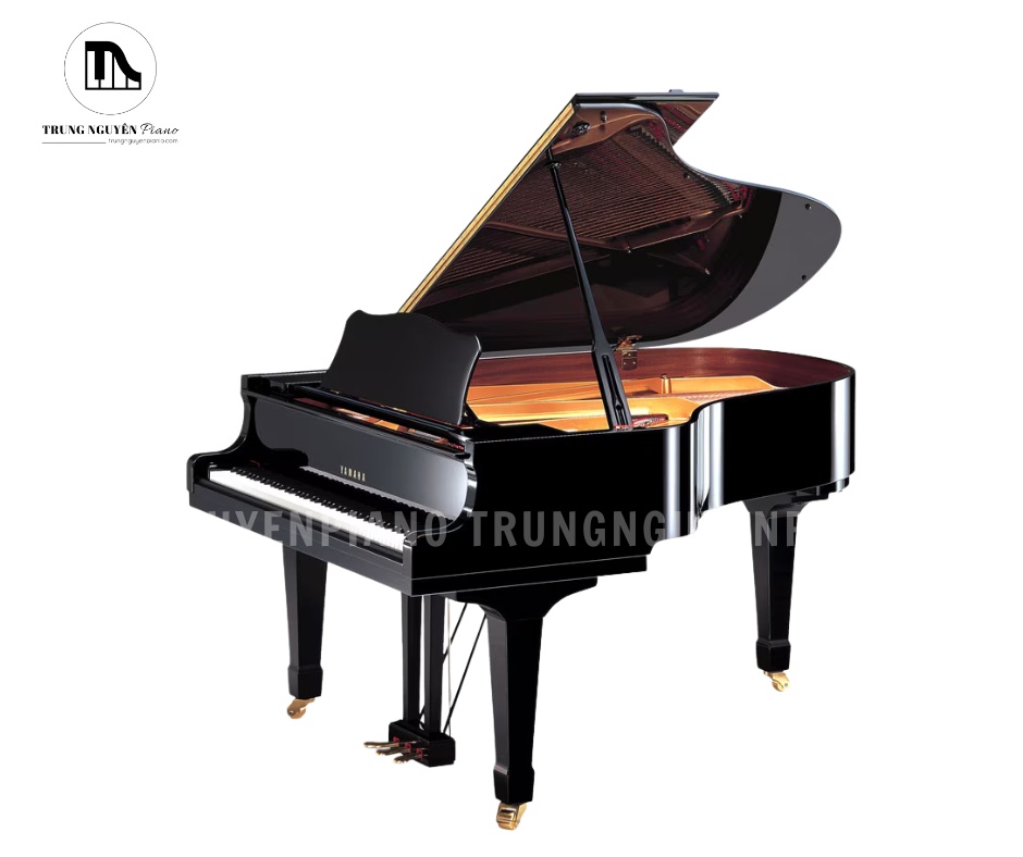 Đàn Piano Grand Yamaha C3L khoác lên mình vẻ đẹp kinh điển của dòng đại dương cầm chuyên nghiệp