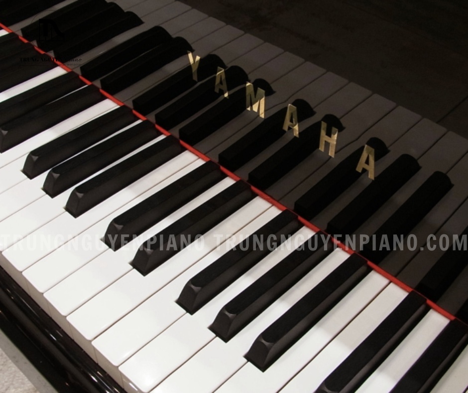 Đàn Piano Grand Yamaha C5 sở hữu bộ máy Balanced Action nổi tiếng của Yamaha