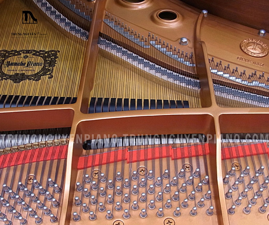 Đàn Piano Grand Yamaha C5 9 Khung Piano Grand Yamaha C5 được đúc bằng công nghệ Vacuum Shield Mold Process