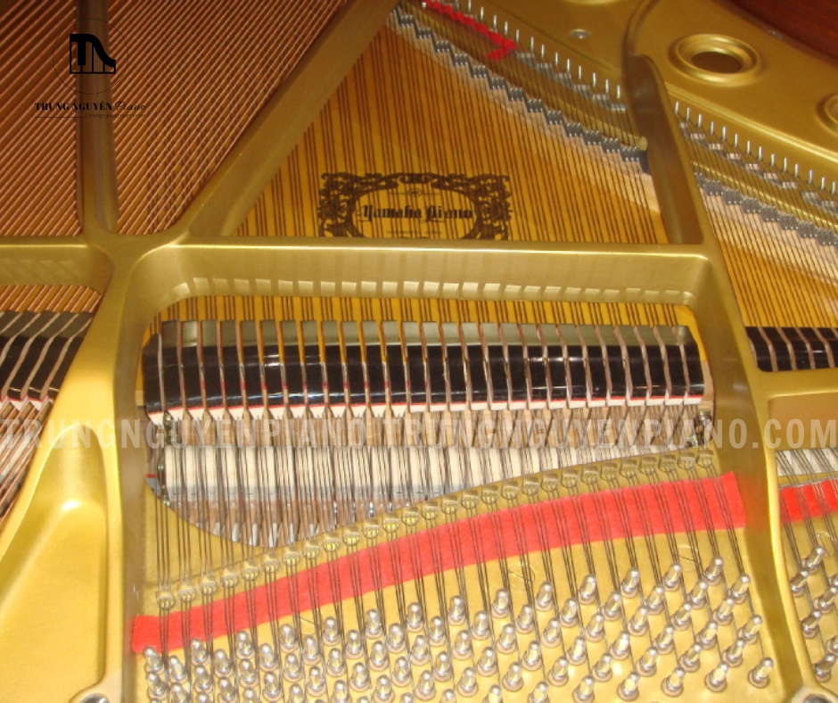 Khung gang của C5A được đúc theo công nghệ V-Pro độc quyền của Yamaha