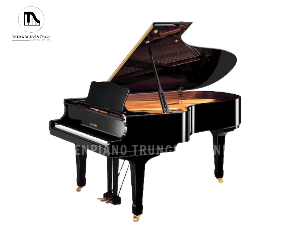 Yamaha C5A là một trong những model đời đầu thuộc dòng C-Series (Conservatory) danh tiếng của Yamaha