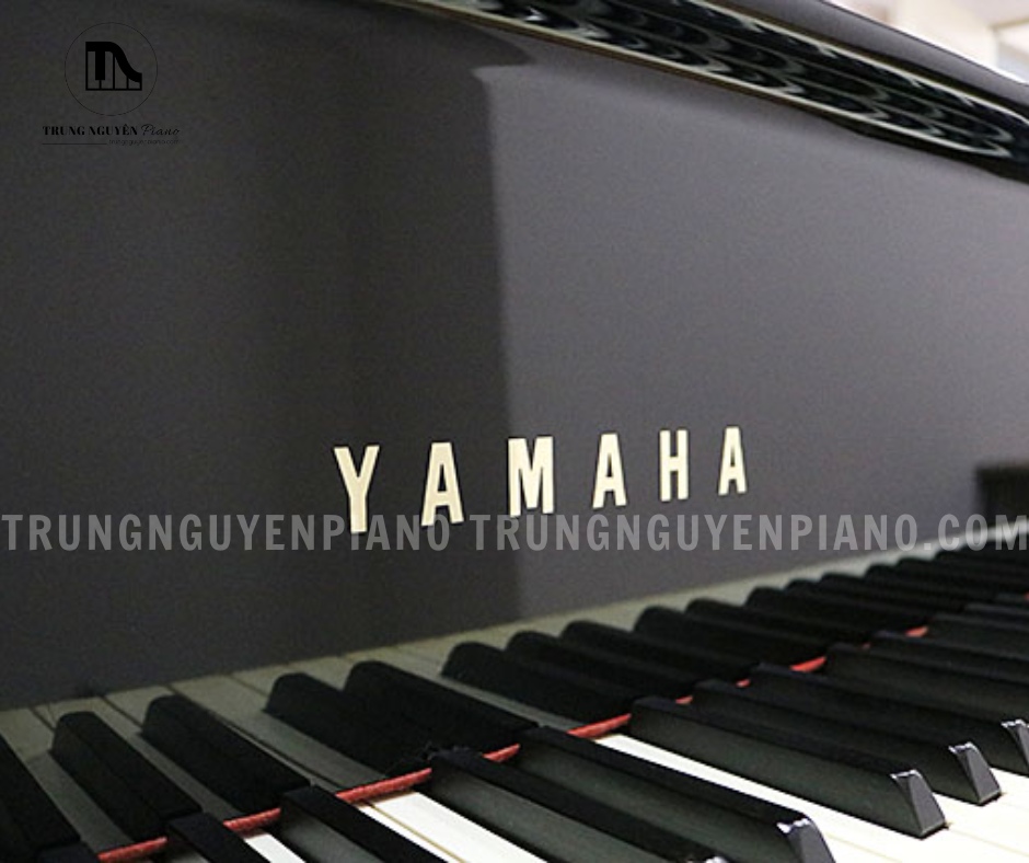 Đàn Piano Grand Yamaha C5B 5 Bàn phím gỗ với bề mặt Ivorite và WPC cho độ bám tốt của Đàn Piano Grand Yamaha C5B