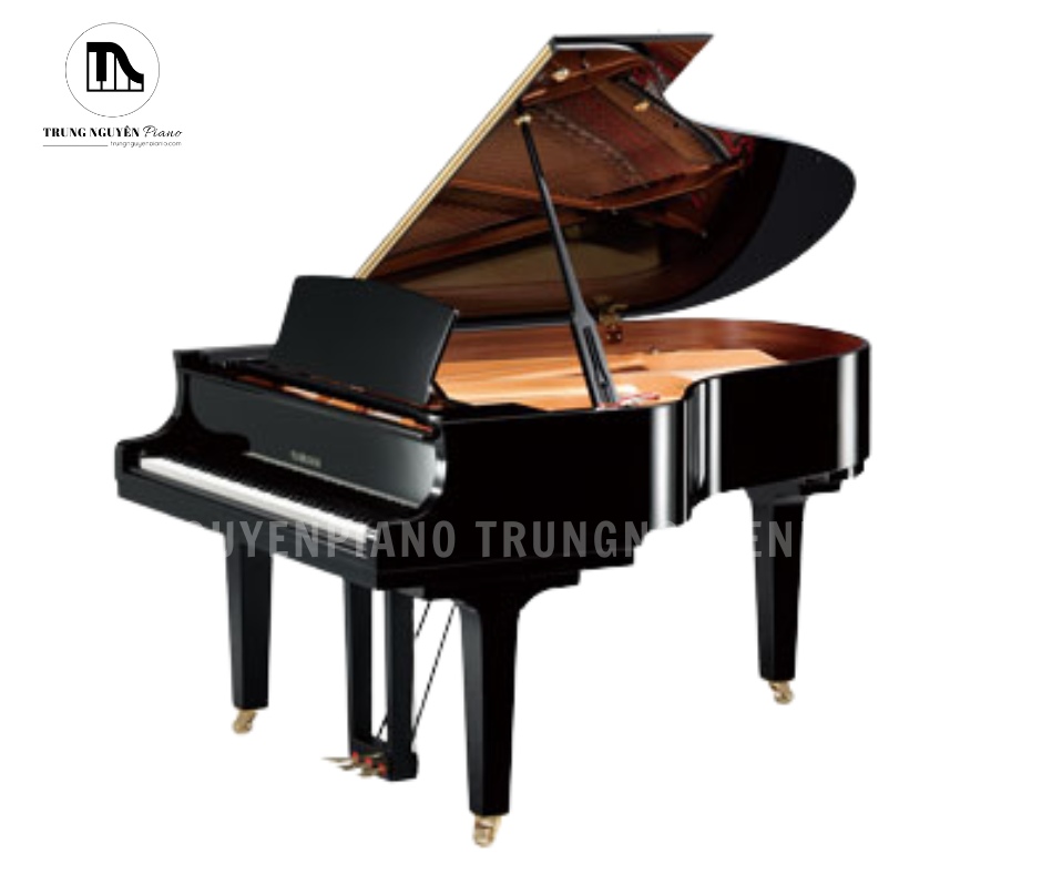 Đàn Piano Grand Yamaha C5B là lựa chọn lý tưởng cho những ai mong muốn sở hữu một cây đại dương cầm tầm trung
