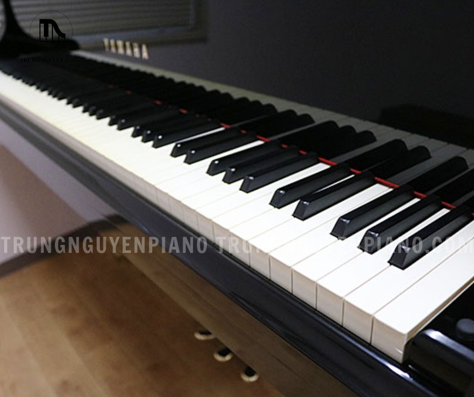 Đàn Piano Grand Yamaha C5B 13 Độ nặng phím của Đàn Piano Grand Yamaha C5B được tối ưu theo chuẩn grand chuyên nghiệp