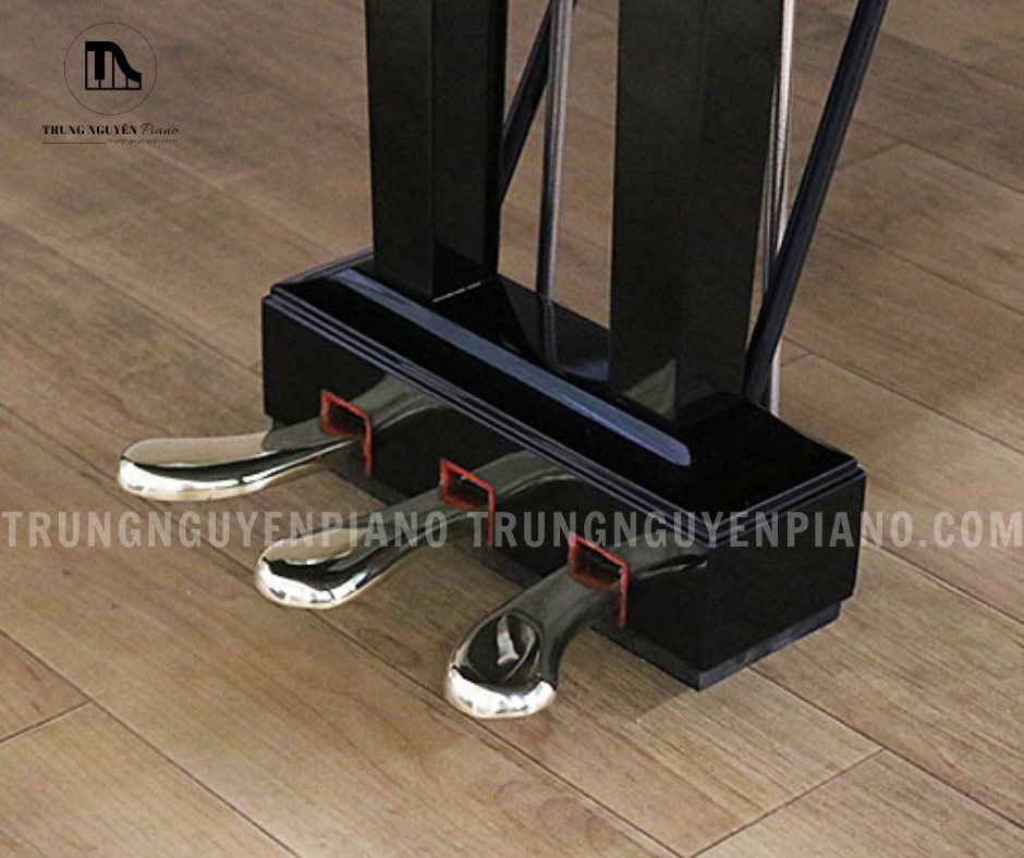 Đàn Piano Grand Yamaha C5B 6 Đàn Piano Grand Yamaha C5B sở hữu 3 pedal: Soft, Sostenuto, Damper)