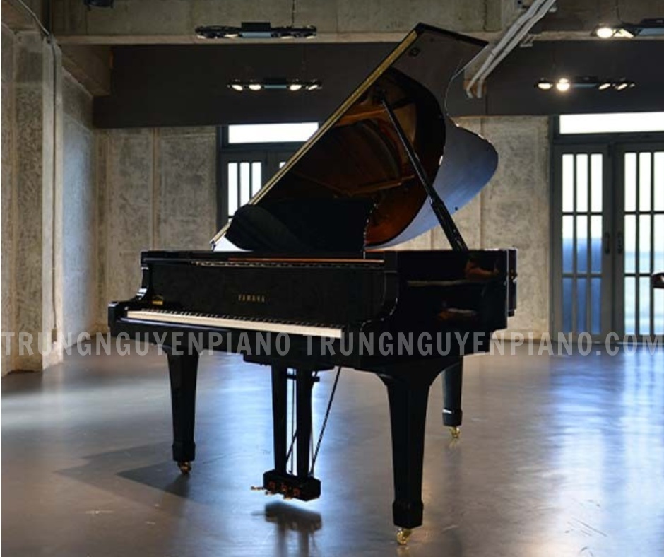 Đàn Piano Grand Yamaha C5E là model grand piano thuộc dòng Conservatory danh tiếng