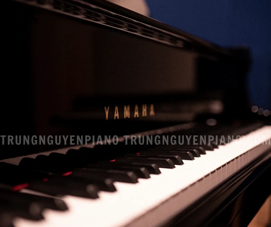 Đàn Piano Grand Yamaha C7A được trang bị 88 phím, độ nhạy hoàn hảo