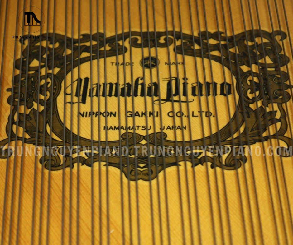Đàn Piano Grand Yamaha C7A 4 Đàn Piano Grand Yamaha C7A nổi bật với âm thanh mạnh mẽ, giàu chiều sâu