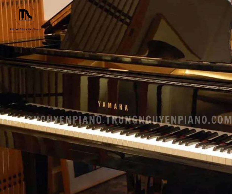 Bàn phím C7B sử dụng cơ chế action chuyên nghiệp với độ nặng phím ở mức “đầm tay”