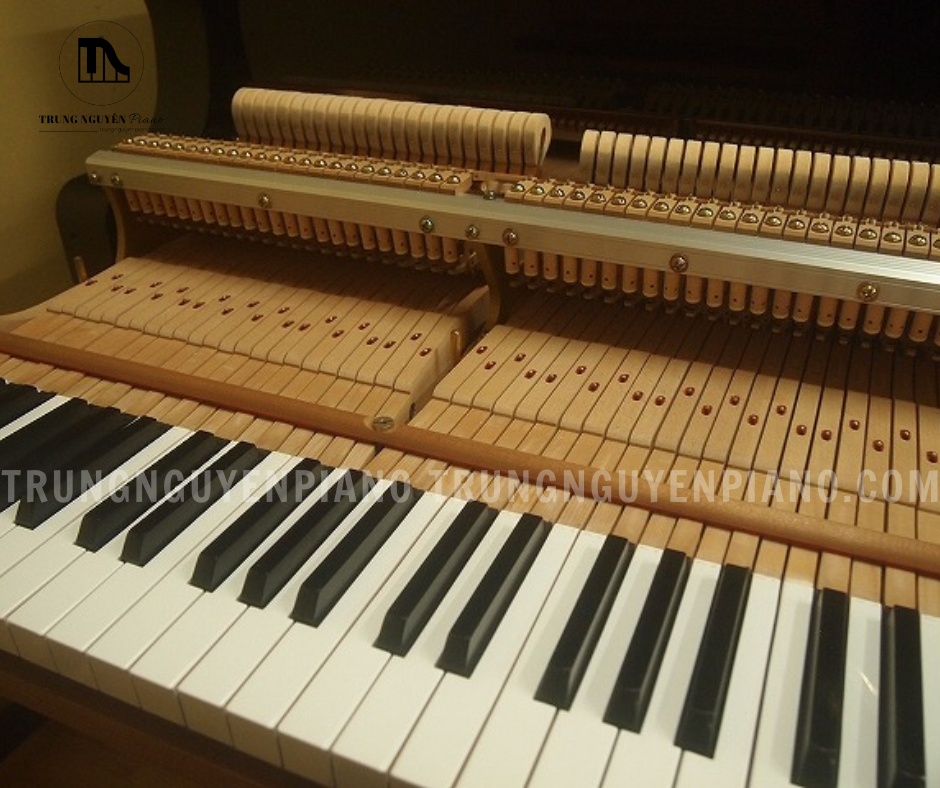 Đàn Piano Grand Yamaha C7B 11 Đàn Piano Grand Yamaha C7B có toàn bộ 88 phím có thiết kế action nhất quán